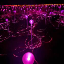 Over 50,000 lights