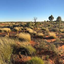 Uluru and Kata Tjuṯa panorama. Just before sunset at the field of lights