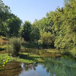Flot natur