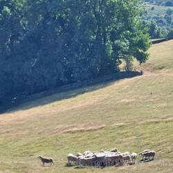 View from Mount Pleasant Farm