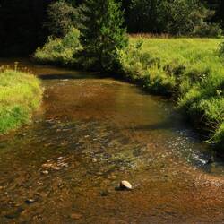 An der Amata