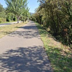 Riverside walkway-easy walking today!