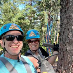 High in the trees
