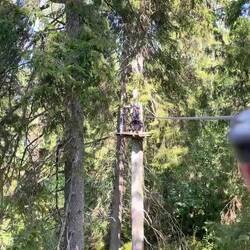Flying on a zip line