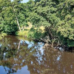 The River Derwent after crossing Froggatt Bridge