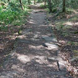 The path back in Horse Hay Coppice