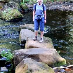 Coppice Wood; Almost a stepping stone bridge...