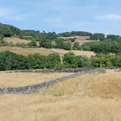 View from Spooner Lane after leaving the wood