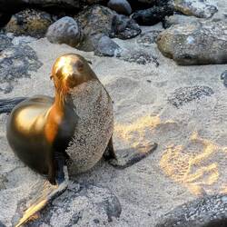 Sand ist gut ...
