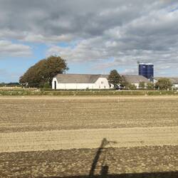 Lots of birds on fields today