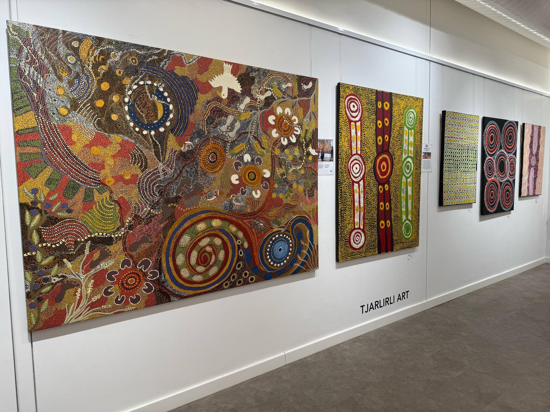 Art works in the Gallery of Central Australia