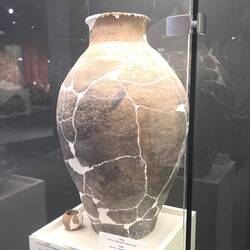 Im Museum zeigen Sie Belege für 7000 Jahre Weintradition