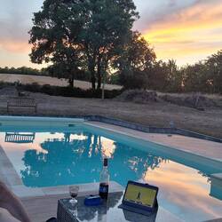 Cricket goes well with red wine and the sunset