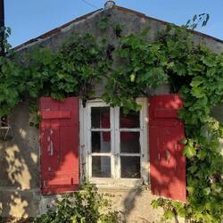 A very classic french window on the laundry