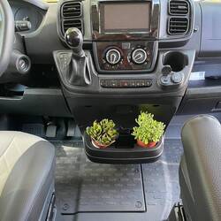 Our new Tvillingar