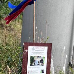The path to the cafe was marked