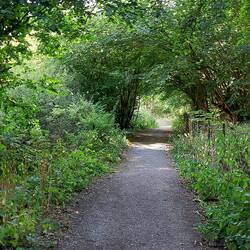 Walking along Coombs Dale; view back