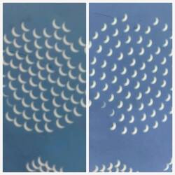 The partial eclipse of the sun viewed using a colander; note the movement from one side to the other