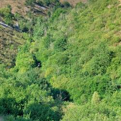View from close to the top of Coombs Dale