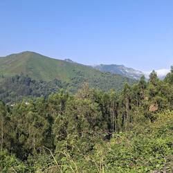 Back in the hills