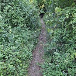 Now for the downhill...