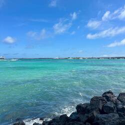 Nice swim at Playa de La Estación, a bit too washed out for a snorkel though