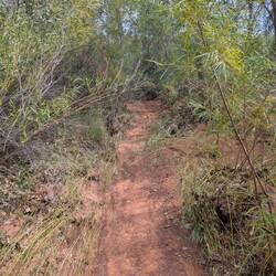 Dry creek bed