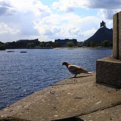 Die Daugava