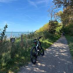 wunderschöner Radweg entlang der Küste auf der Insel Poel