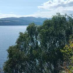 El lago desde la orilla norte