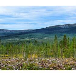 Fulufjället..., das südl. Fjell Schedens