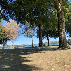 Am Waginger See