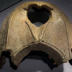 Walrus skull with runic inscription that reads "Johan Owns;" likely imported from Greenland.