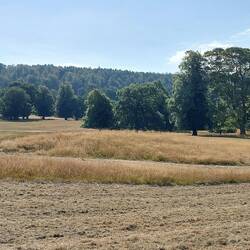 Chatsworth Park Estate; soon after the entrance