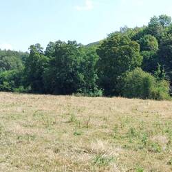 Approaching Rowsley after Bank Wood