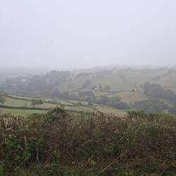 Climbed up into the clouds!