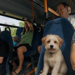 On the bus