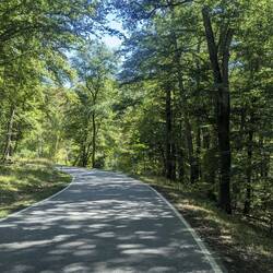 Durchs schöne Wispertal