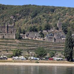 Burg Rheinstein