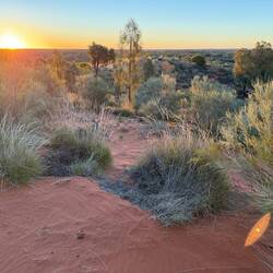 Looking west towards the WA border