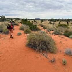 Uluru