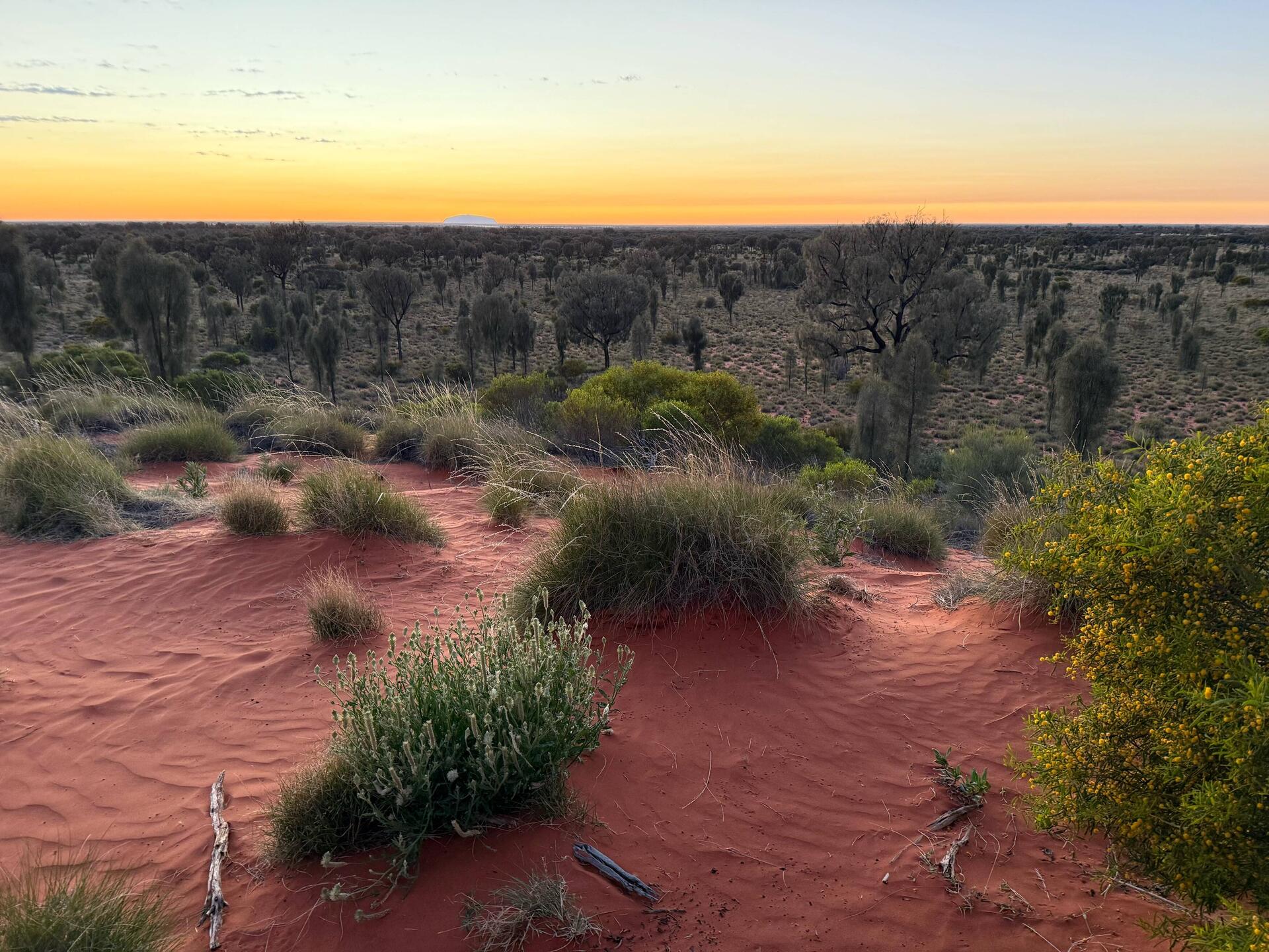 Uluru just before sunrise