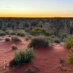 Uluru just before sunrise