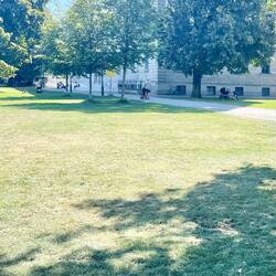 Seldom seen dry lawns