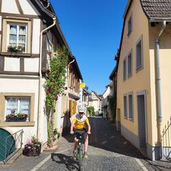 Meisenheim