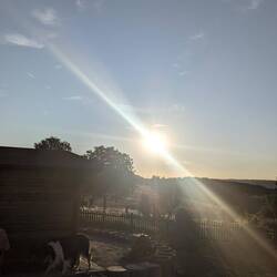 Bald ist Sonnenfinsternis