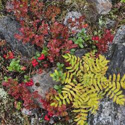 Und schon Herbst.