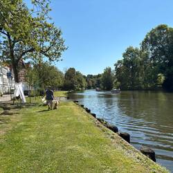 Wasser umgibt den alten Stadtkern