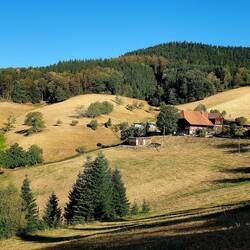 Schwarzwald at its best