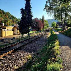 Frühmorgens der Bahn entlang